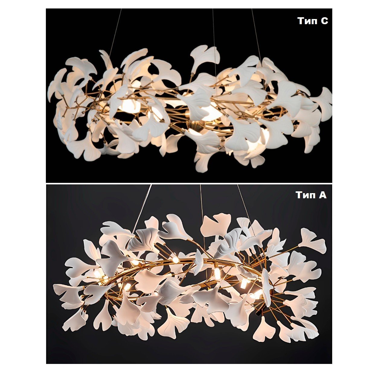 Изображение продукта